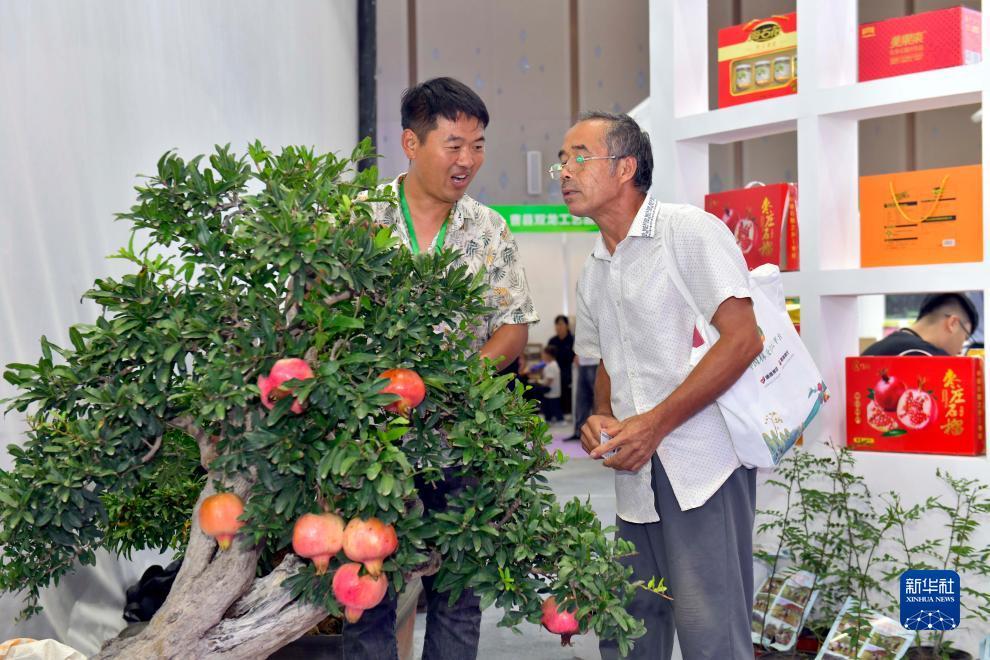 大连娱网棋下载